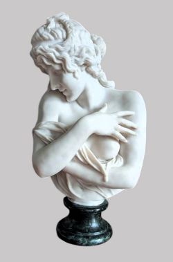A 19TH CENTURY BUST OF A YOUNG LADY