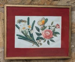 ANTIQUE CHINESE WATERCOLOUR PAINTING BUTTERFLIES BLOSSOMS