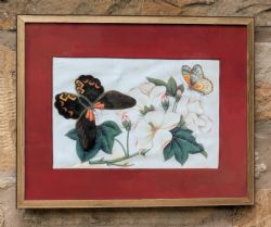 ANTIQUE CHINESE WATERCOLOUR PAINTING BUTTERFLIES BLOSSOM
