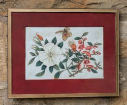 ANTIQUE WATERCOLOUR PAINTING BUTTERFLIES BLOSSOM