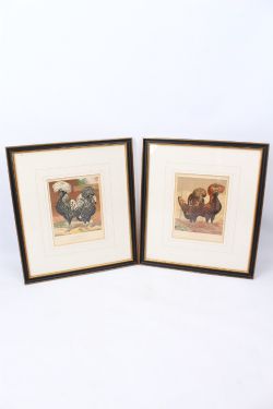 PAIR FRAMED ANTIQUE CHICKEN LITHOGRAPHS PRINTS