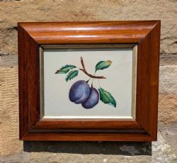 PRETTY BOTANICAL WATERCOLOUR OF PLUMS ROSEWOOD FRAME 19TH CENTURY