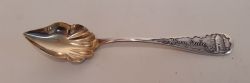 AMERICAN SILVER COLLECTORS SPOON LATE 1800'SEARLY 1900'S