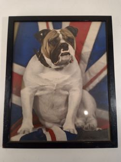 PICTURE OF BRITISH WAR TIME BULLDOG FROM THE 1940'S